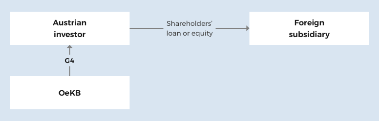 Covering the political risk of your foreign investments with the G4 guarantee.